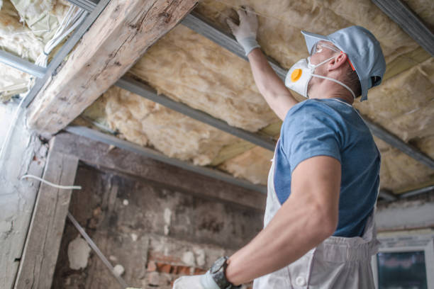 Best Commercial Insulation in Centerville, IA
